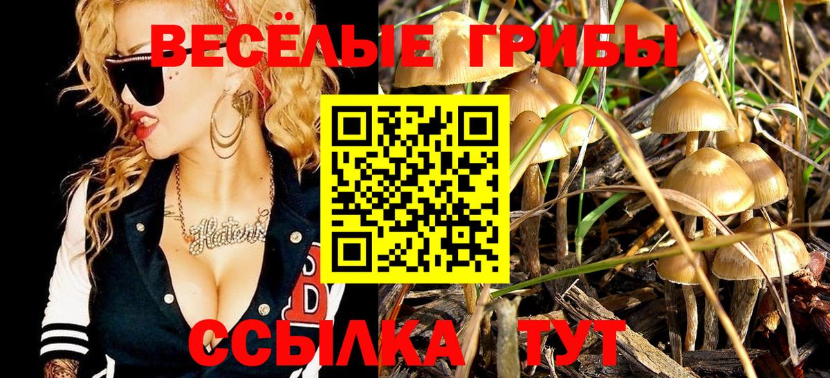 Лыткарино  Псилоцибиновые грибы Psilocybe  Вход с VPN 